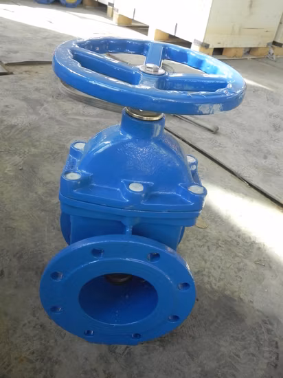 Cast and Forged Gate Valve (Z41H)