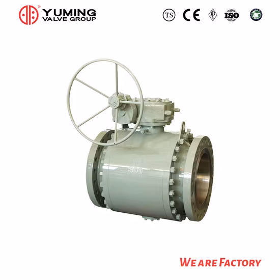API 6D&API608 주강, Wcb, 탄소강, 스테인리스강 CF8, CF8m, A105/F304/F316 2PC 기어 작동 기능이 있는 플랜지형 파이프라인 트러니언 장착 볼 밸브