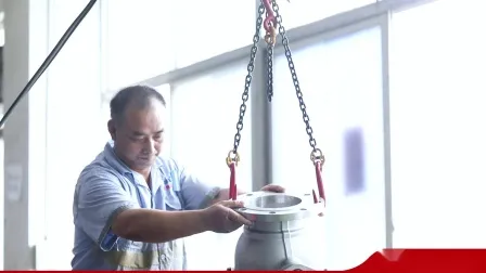 산업용/위생 완전 보어 나사형 NPT/BSPT/Bsp 스테인레스 스틸 CF8/CF8m DN15 플로팅 체크 밸브/스트레이너/글로브 밸브/볼 밸브